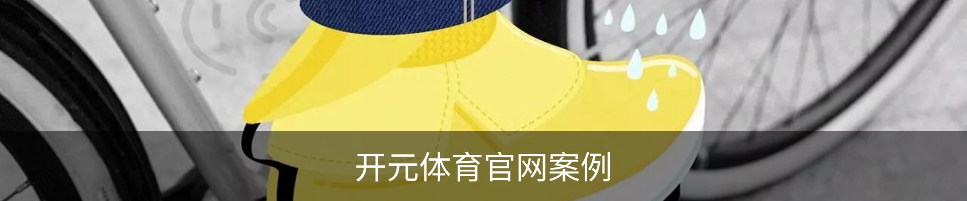 开元体育官网案例
