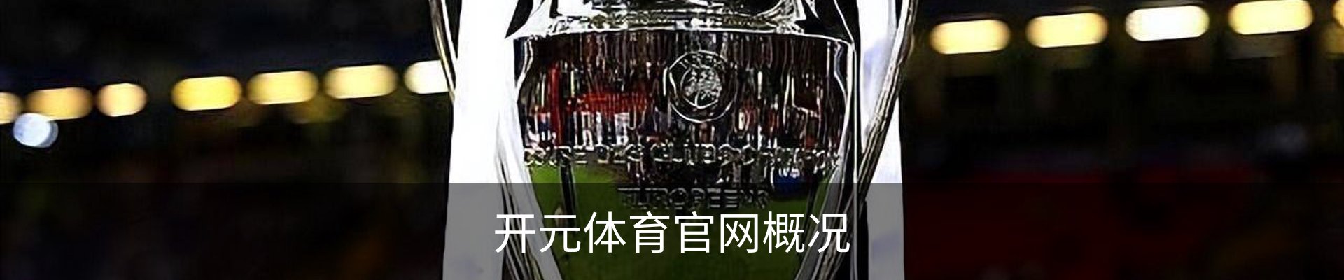 开元体育官网概况